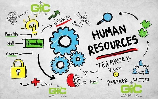 What Is the Role of Human Resources?
